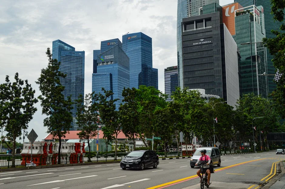 Ministro das Finanças alerta: Dívida pode ter atingido pico, mas reformas são urgentes — Politica