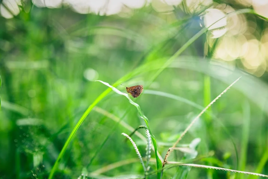 Moçambique rejeita pedido de libertação de cidadãos nigerianos - o que aconteceu? — Politica