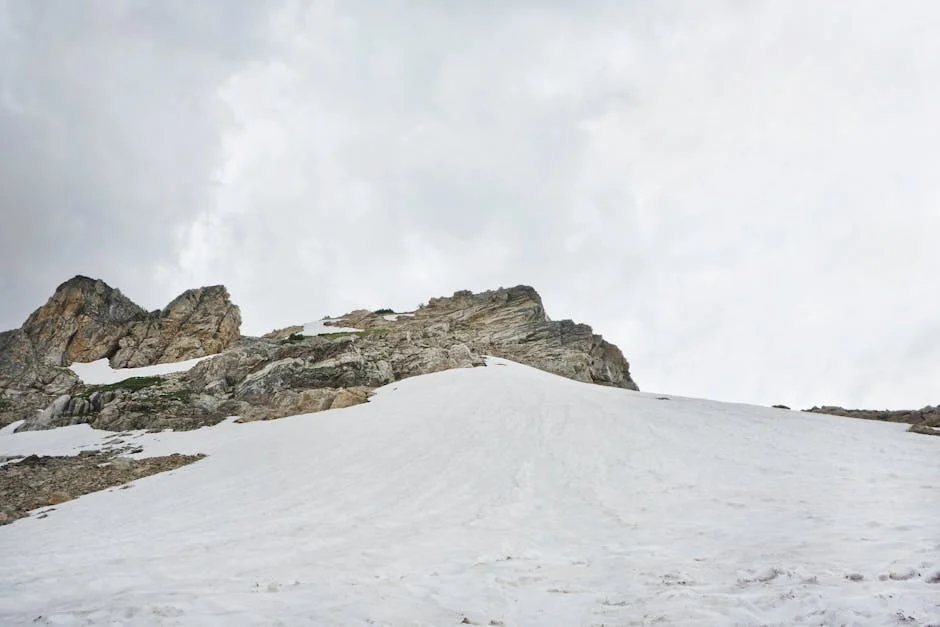 Montenegro e Luís Neves: O Impacto do Empreendedorismo no Mercado Português — Empresas