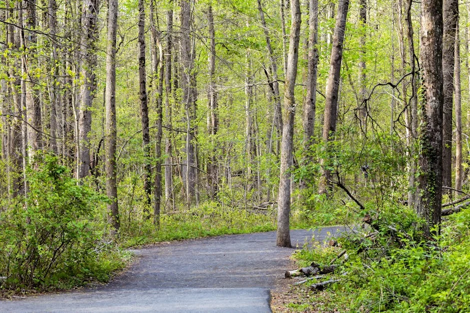 Morte de Ian Huntley em ataque na prisão gera repercussões nas redes e na economia — Empresas