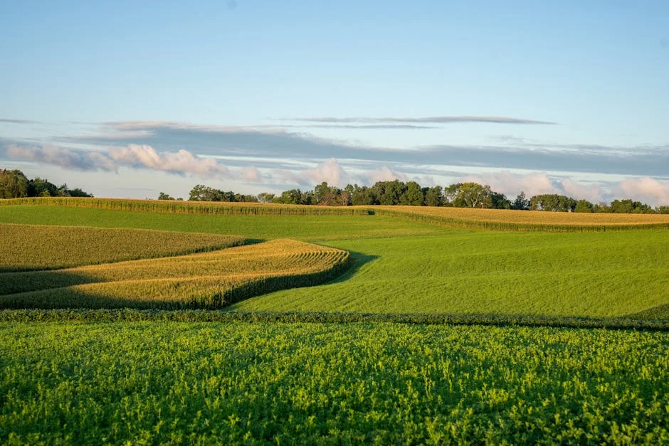 Mosiuoa Lekota, ex-ministro da Defesa da África do Sul, falece — e o que isso significa — Politica