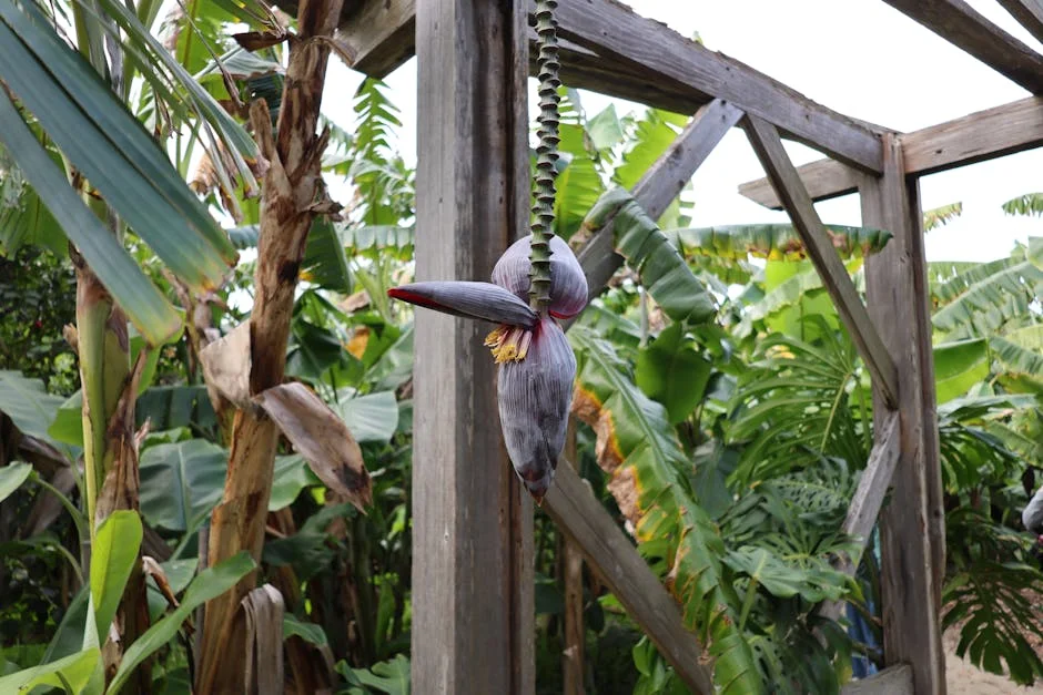 Musa Mseleku revela vista panorâmica do seu famoso estate em Umzumbe — veja tudo! — Empresas