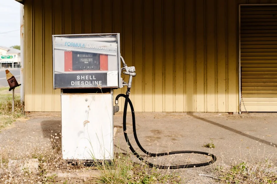 Mzansi celebra 94 anos de Miriam Makeba: legado que ressoa nas economias locais — Empresas