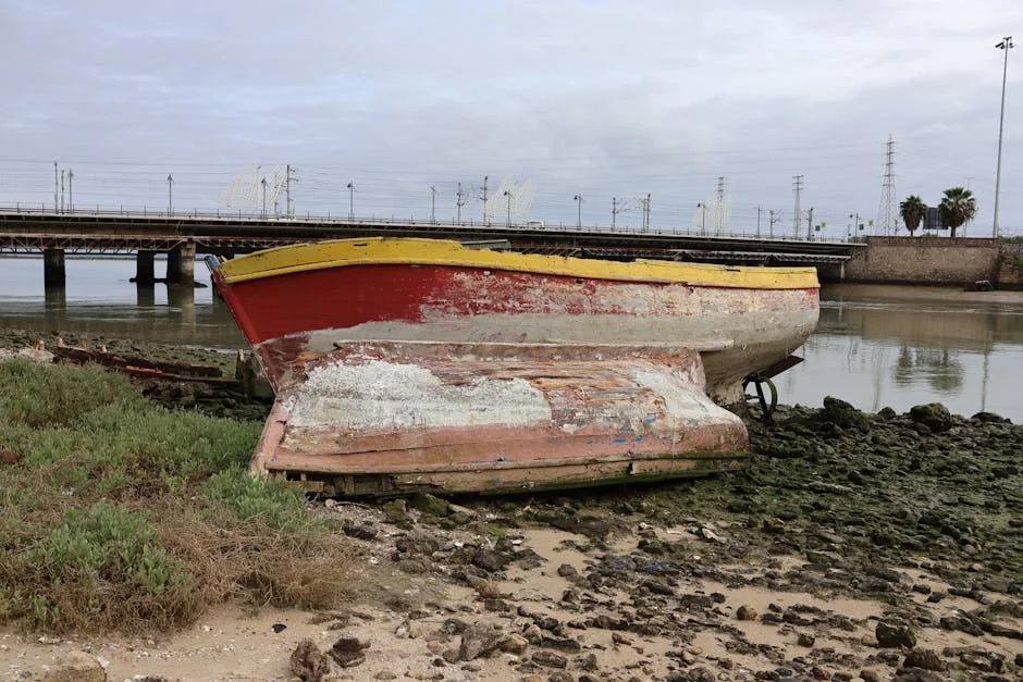 Navio atingido por vírus evacua passageiros rumo à Europa — Mercados
