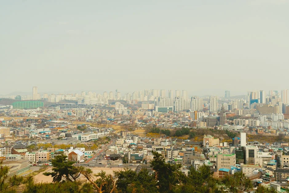 Norte-Coreia revela cemitério secreto de soldados mortos na Ucrânia — Europa