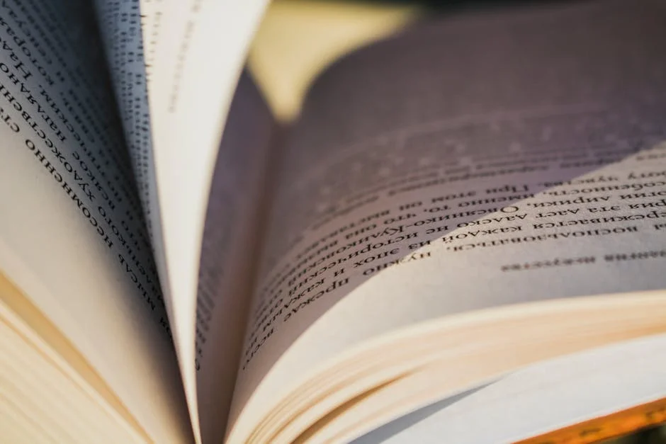 Obed Vargas Se Asoma a Outro Sonho — e a Champions Pode Mudar Tudo — Empresas