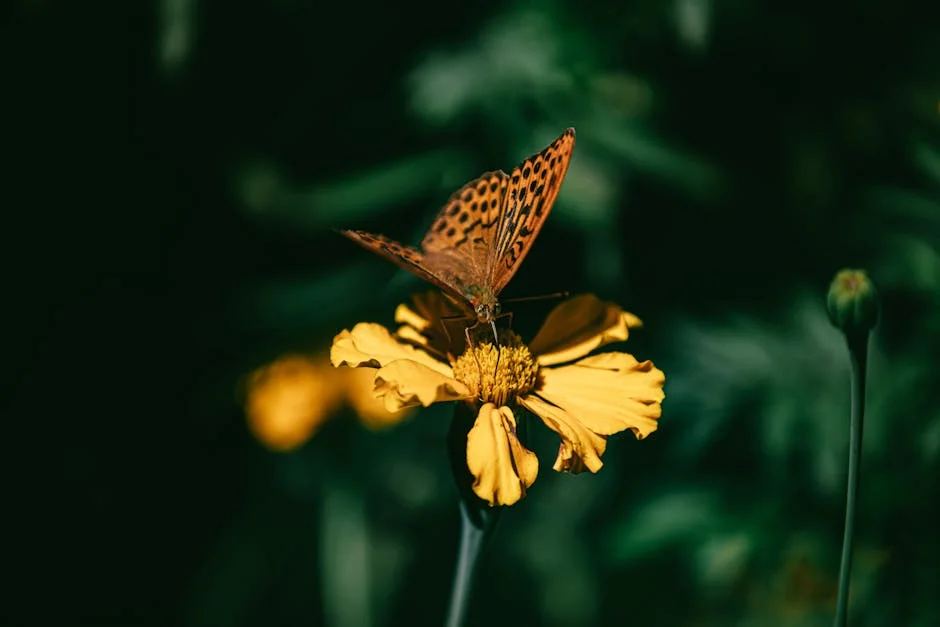 ONU alerta: Saúde Materna e Infantil deve ser prioridade global — o que está em jogo — Politica