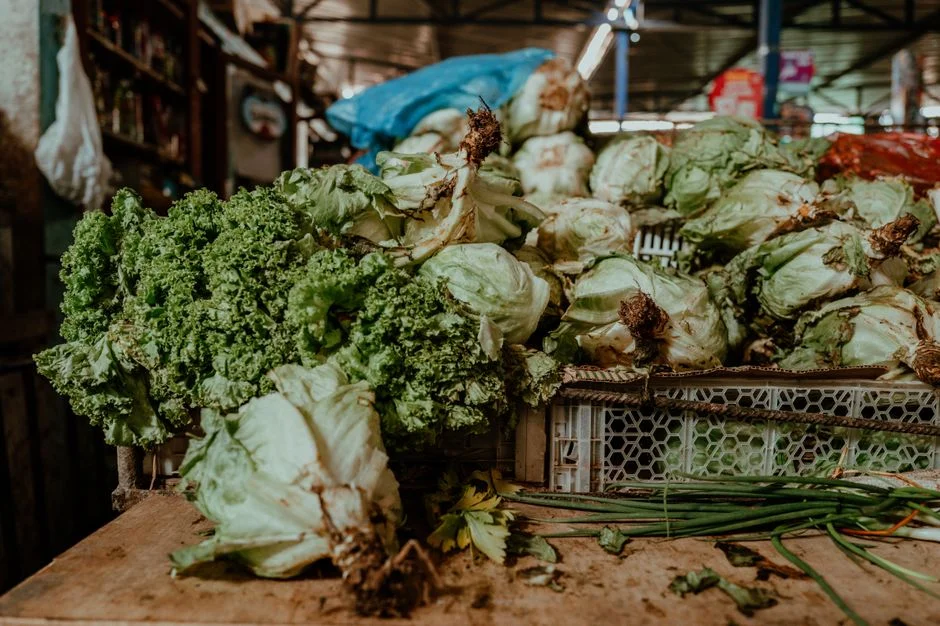 ONU Revela Aumento da Violência Alimentar em Conflitos Globais — Uma Crise Emergente — Politica