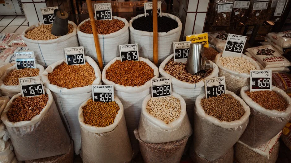 Oposição reúne forças contra APC em 2027 — expectativas crescem — Politica