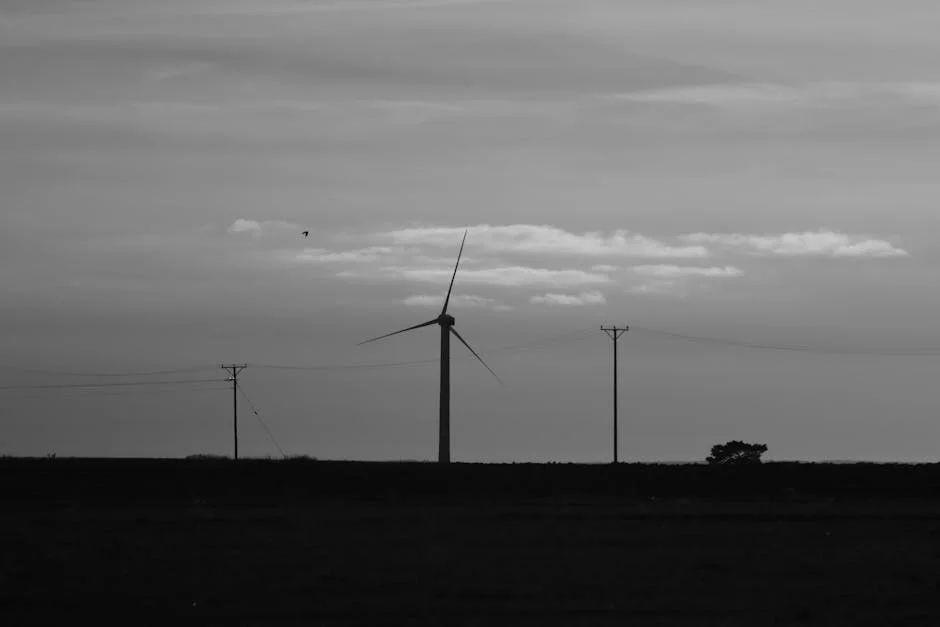 Ovo Energy confirma tomada de controle e acalma clientes — Energia