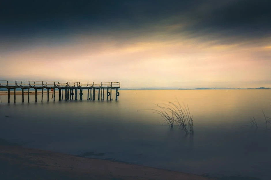 Paulo Ribeiro critica unicidade do PSD: o que isso significa para o futuro do partido — Empresas