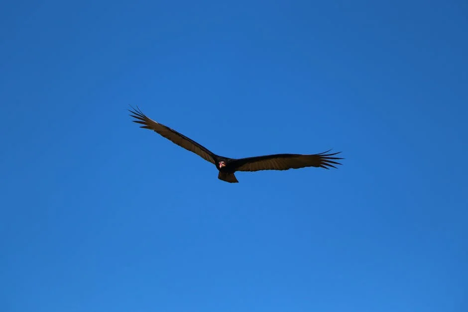 Pedro Vasconcelos exige soluções urgentes para o apetite dos impacientes — o que isso significa para os negócios — Empresas