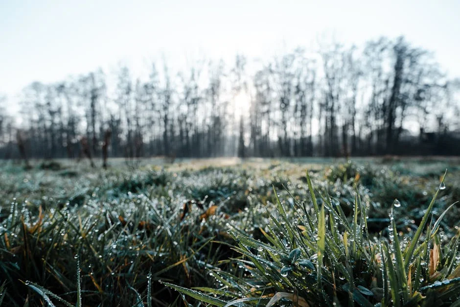 Philadélfia Enfrenta Aviso de Geada Após Calor Recorde — Impacto no Cotidiano — Empresas