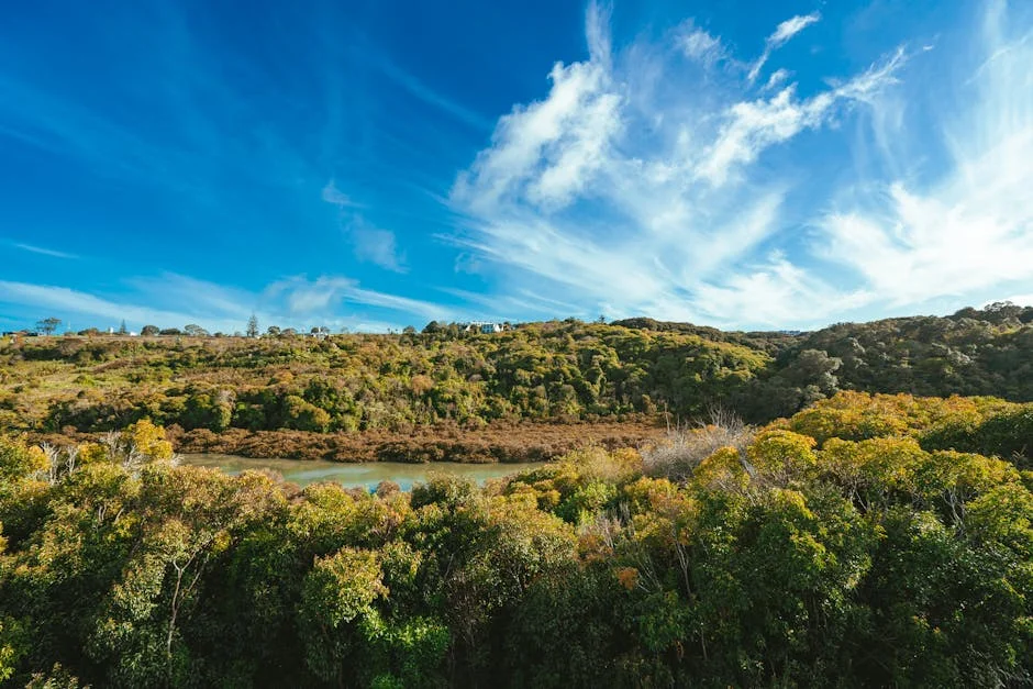 Pilotos da IAF, Sqn Ldr Anuj e Flt Lt Purvesh Duragkar, morrem em queda de avião: detalhes trágicos — Empresas