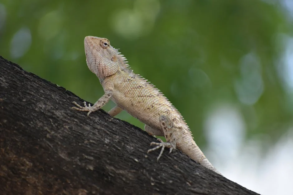 Polícia de Arakkonam detém dois jovens por posse de comprimidos narcóticos — consequências para a comunidade — Empresas