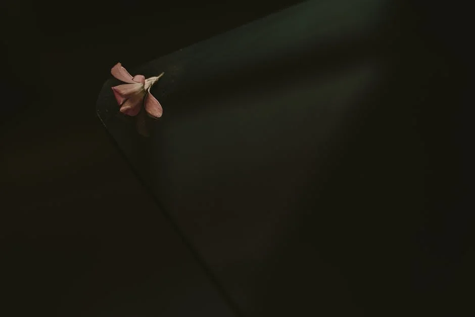 Polícia de Eluru apreende 13 veículos em operação de cerco e busca — Empresas