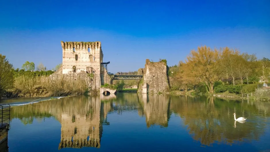 Ponte de Lima homenageia António Feijó: impacto no comércio local e na economia — Empresas