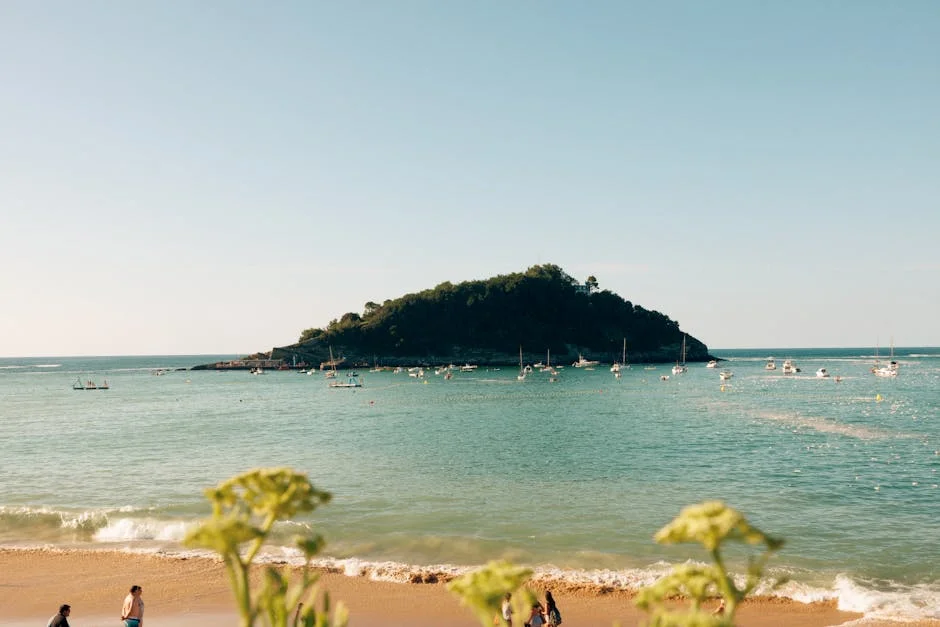 Porto rejeita jogo contra Santa Clara: o que isso significa para a liga — Empresas