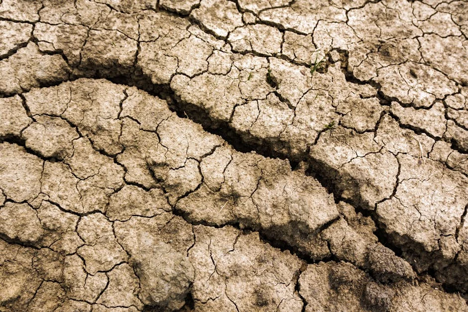Portugal Enfrenta Aumento da Vulnerabilidade à Seca e Calor Extremo — Agricultura