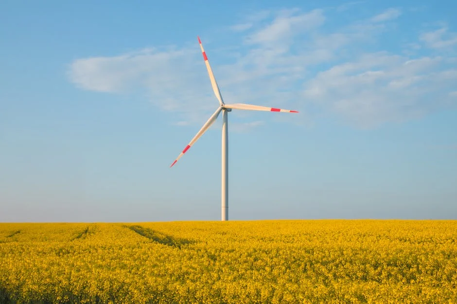 Portugal Investe 150 Milhões na Tecnologia de Energia Limpa — Energia