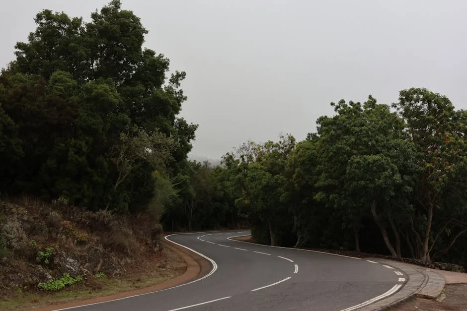 Portugal Suspende Masemola Após Conflito na Estrada — Empresas