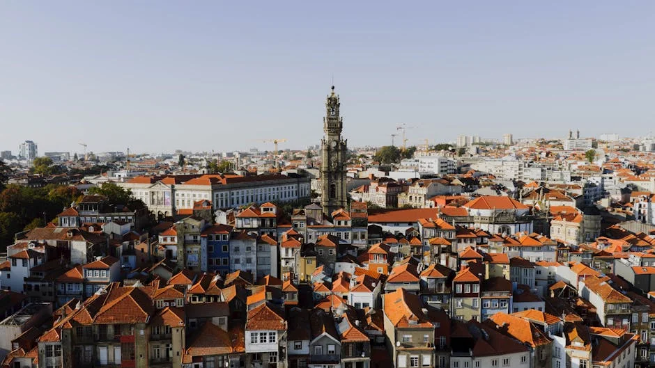 Presidente da Câmara de Coimbra Processa Jornalista da Lusa — Empresas