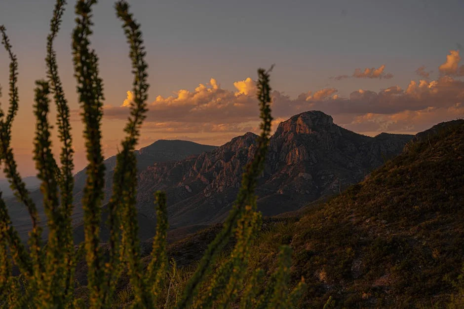 Primeira linha de aviação para o Terra Santa é um passo gigante para o Ogun - Gateway anuncia voos do Hajj — Empresas