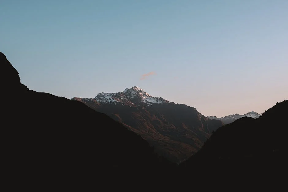 Proteas Enfrentam Nova Zelândia em Séries de T20 Após Derrota no Mundial — Turismo
