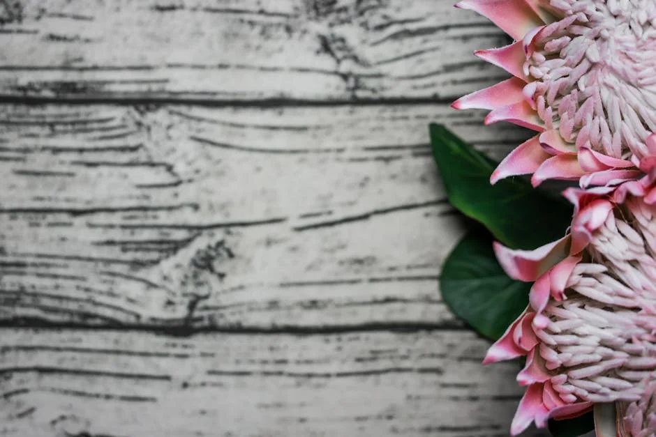 Proteas falham novamente e Black Caps triunfam: o impacto no desporto e nas economias — Turismo