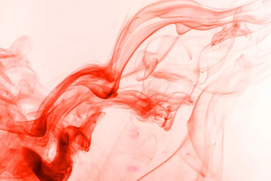 PSD Apela à Oposição e Reitera Necessidade de Estabilidade Governamental — Empresas