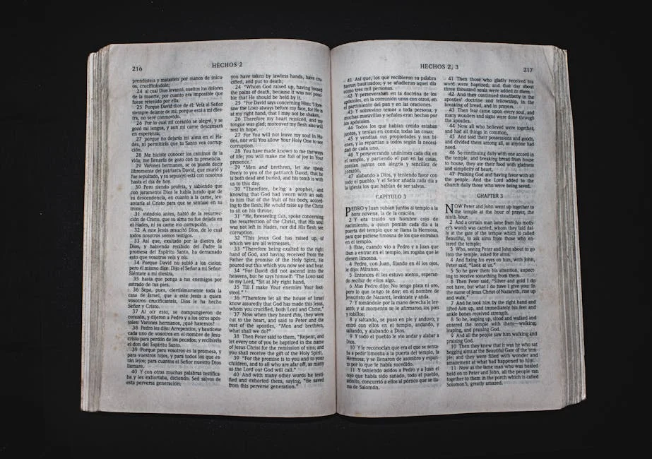 PSD Insiste em Revisão Constitucional para Segunda Fase da Legislatura — Empresas