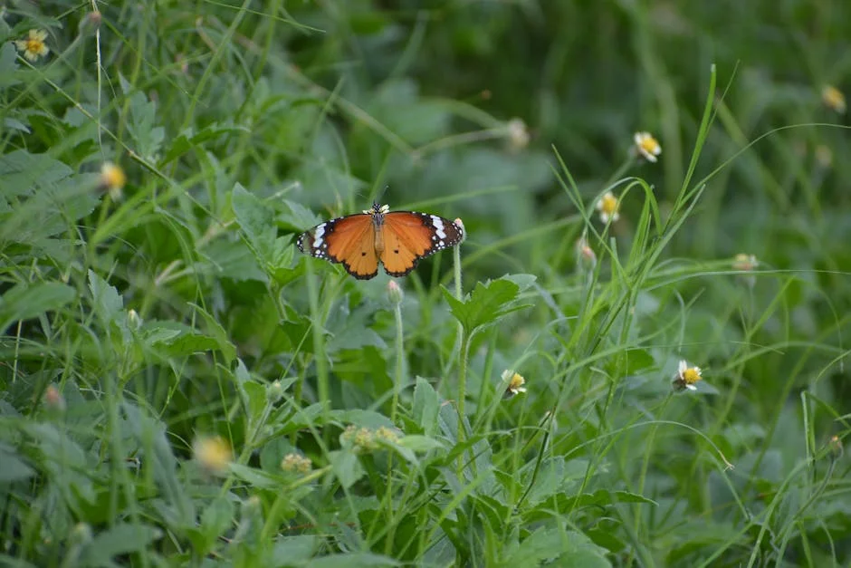 Rajpal Yadav Processo na Justiça de Delhi Reserva Julgamento — Turismo