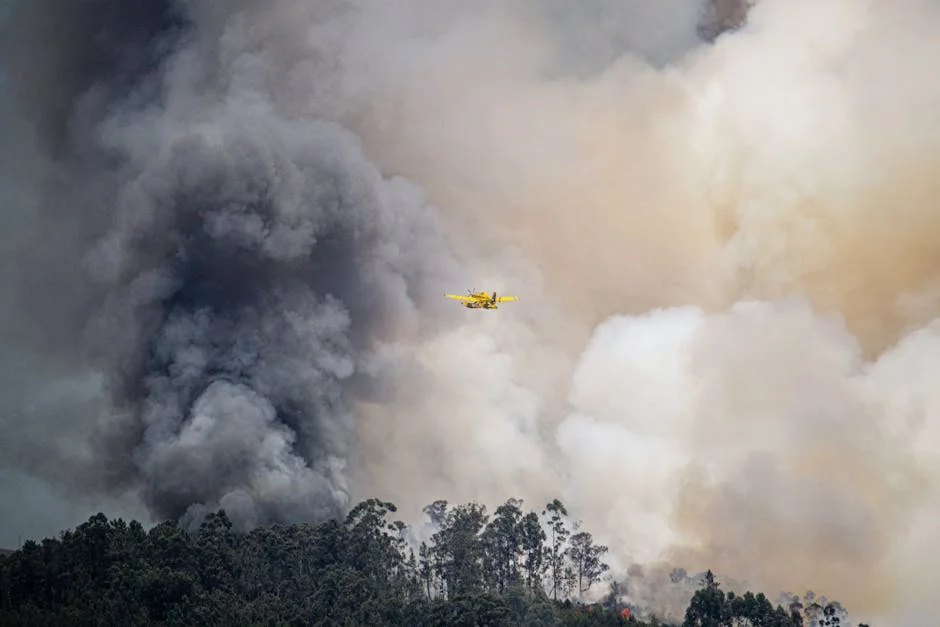 Reino Unido enfrenta risco de resgate financeiro da RAF — Politica