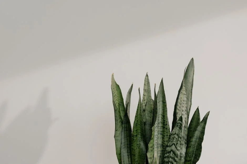 Reino Unido Perde Liderança em Transplantes, Sistemas Ocidentais Preocupam — Empresas