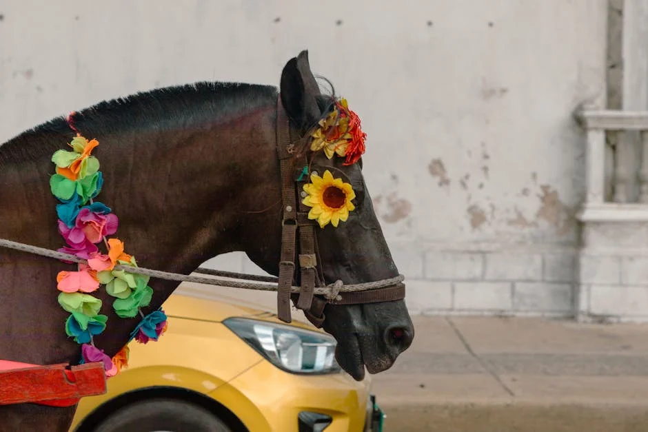Rúpia cai para mínimo histórico de 92,16 contra o dólar: impacto nas finanças — Politica