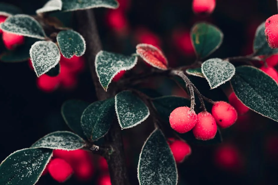 Rússia ataca com terra queimada na Ucrânia, colocando rede elétrica em risco de colapso — Energia