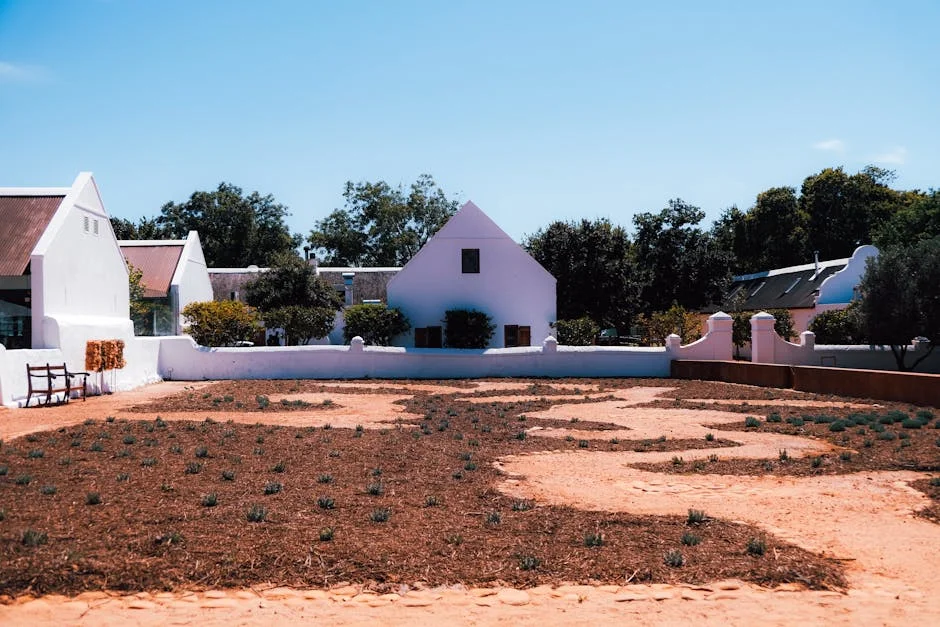 Secretária de Cape condenada por desvio de R13 milhões — impacto na economia de Stellenbosch — Empresas