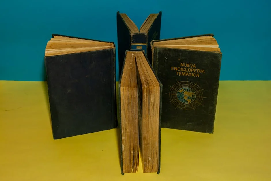 Senegal Vai a Europa para Atrair Investimentos da Diáspora — Empresas