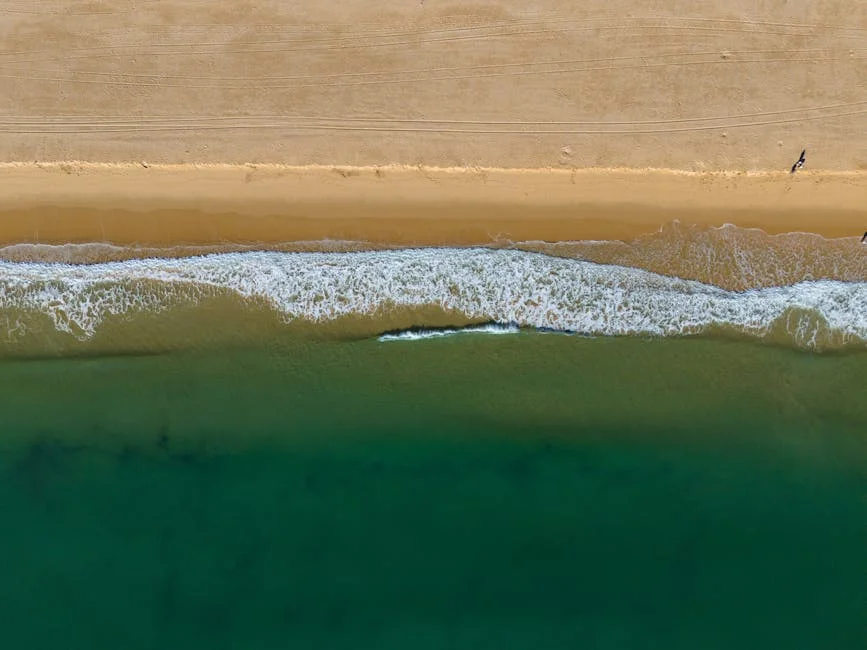 Setor de drones descartáveis ganha força em Portugal - o que isso significa para o mercado — Empresas