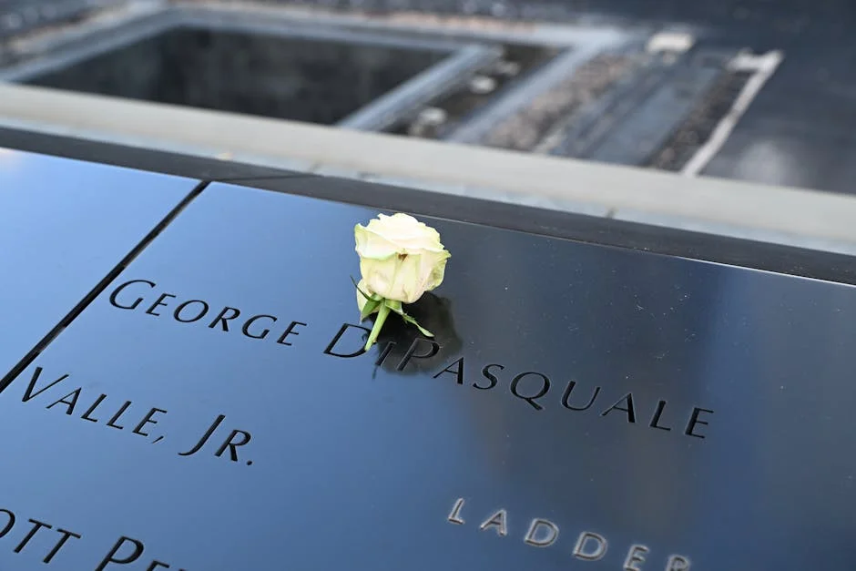 Soli Philander recebe homenagens emocionantes enquanto Diddy é libertado — o impacto no mercado — Empresas