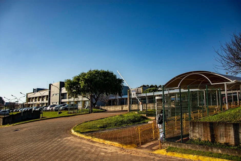 Somaliland Negou Extraditão de Ilhan Omar, dizem Notícias — e Isso Importa