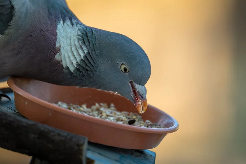 Starmer Adverte sobre Desafios na Paz entre EUA e Irão no Estreito de Ormuz — Politica