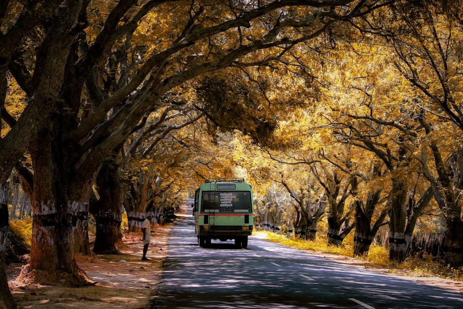 Tamil Nadu Prioritiza Melhoria de Turismo em Valparai na Eleição de 2026 — Politica