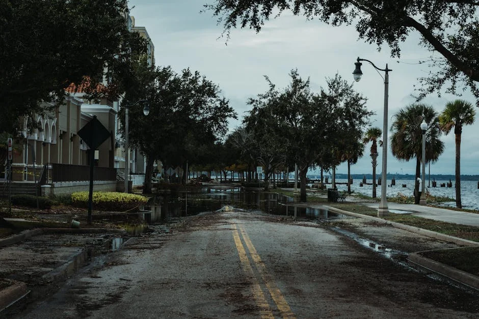 Tempestades em Portugal Aumentam Risco de Fogos Florestais no Verão — Empresas