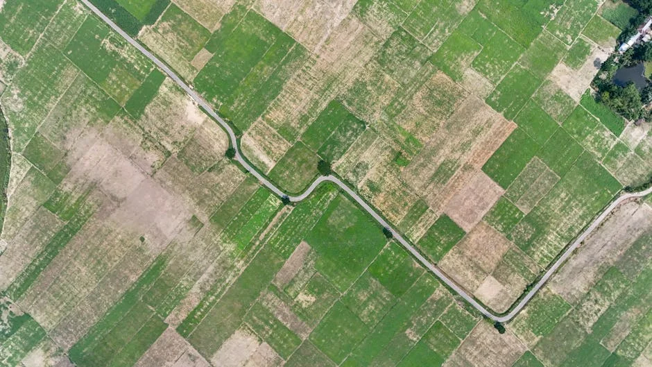 Tensões entre Irão e EUA Aprofundam-se, Afetando Mercados Globais