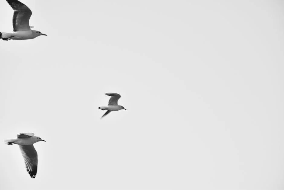 Teto desaba em aula em Navi Mumbai: um morto e 11 feridos — o que isso significa para a segurança escolar — Empresas