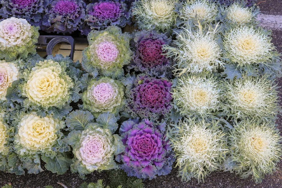 Tirelo Kale celebra 26 anos com ensaio fotográfico e colab de joias — impacto no mercado — Empresas