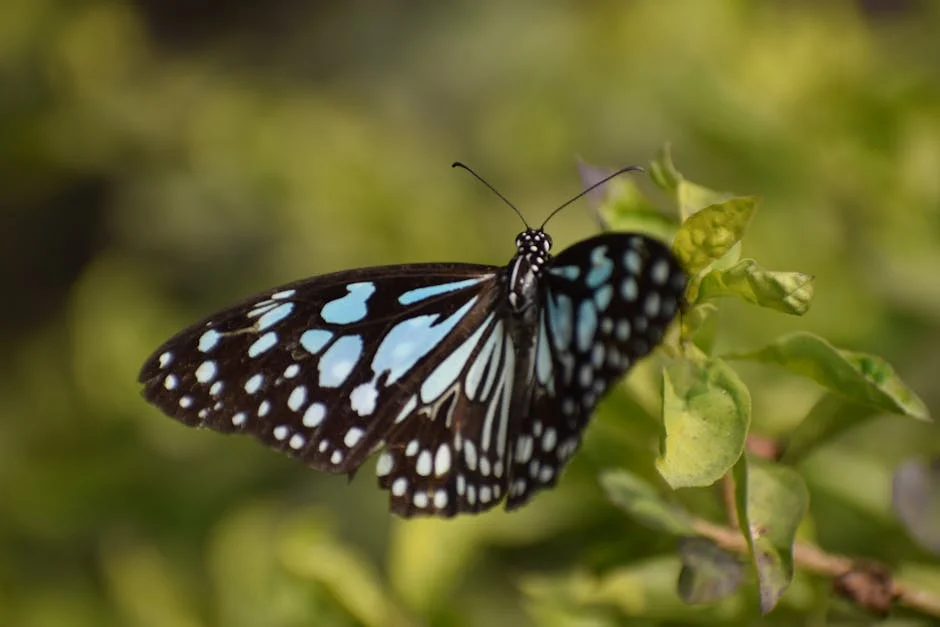 TTD exige ação legal contra celebrações de aniversário em Tirumala — o impacto na economia local — Empresas