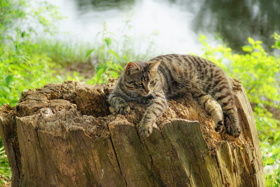 Universidade de Nairobi Lança Centro de Estudos sobre a Rússia na África — Empresas