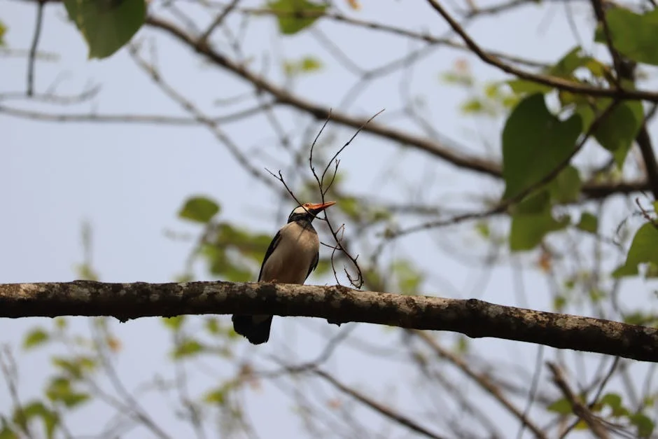 Vacina Contra o Cancer Tamanho do Mercado Participacao Vendas Crescimento Dinamica e Previsao Para 2029